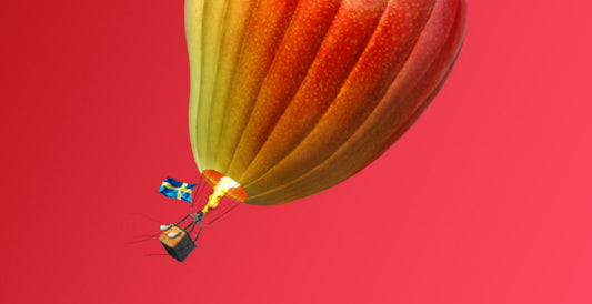 The History of Nicotine Pouches: How Scandinavia Influenced Nicotine Pouches