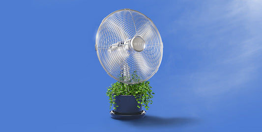 Are Nicotine Pouches an Alternative to Smoking and Vaping?