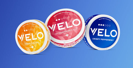 What You Need to Know Before Trying Nicotine Pouches