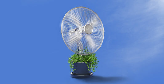 What Are The Alternatives To Smoking?