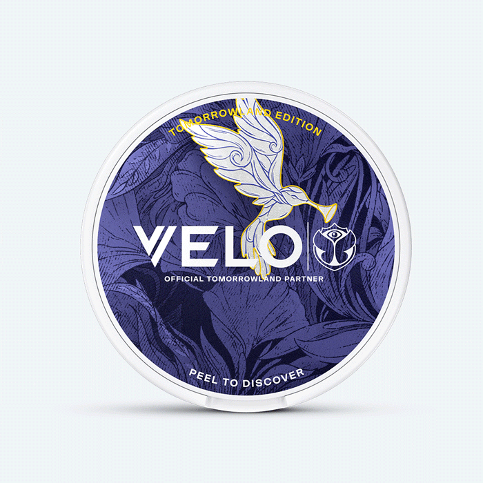 Velo Nicotine Pouches |  Round VELO Tomorrowland Limited Edition Mango Ice nicotine pouch container featuring a blue floral pattern, white and gold bird artwork, and the text "VELO Official Tomorrowland Partner" on the lid. This exclusive edition includes "Peel to discover" written at the bottom.