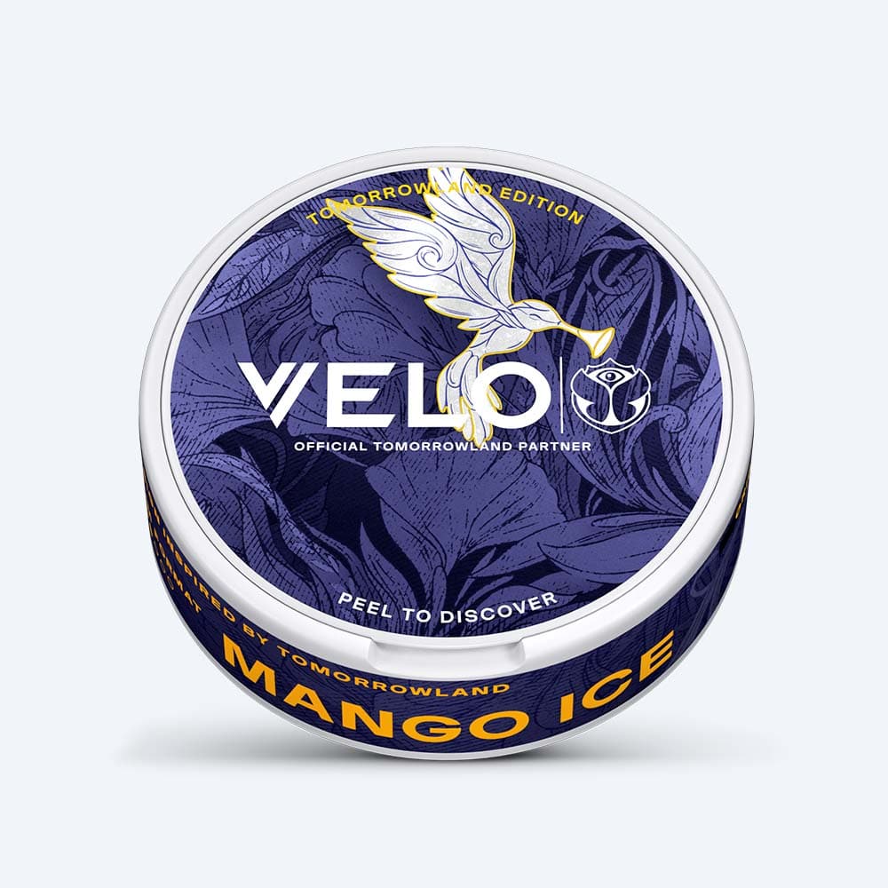 Velo Nicotine Pouches |  A circular container of VELO Tomorrowland Limited Edition Mango Ice nicotine pouches. The lid showcases a dark purple background adorned with stylized floral patterns, a white hummingbird illustration, and the text "Official Tomorrowland Partner.
