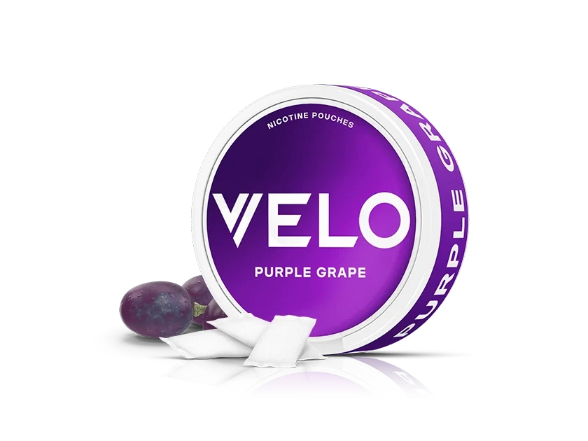 Velo Nicotine Pouches |  A round purple tin labeled VELO Purple Grape Nicotine Pouches is shown with two grapes and several small white Velo pouches in front of it, all on a white background.